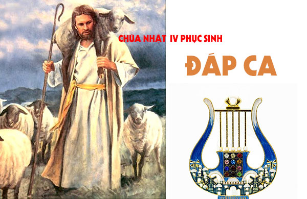 Đáp ca - Chúa nhật IV Phục Sinh - năm C